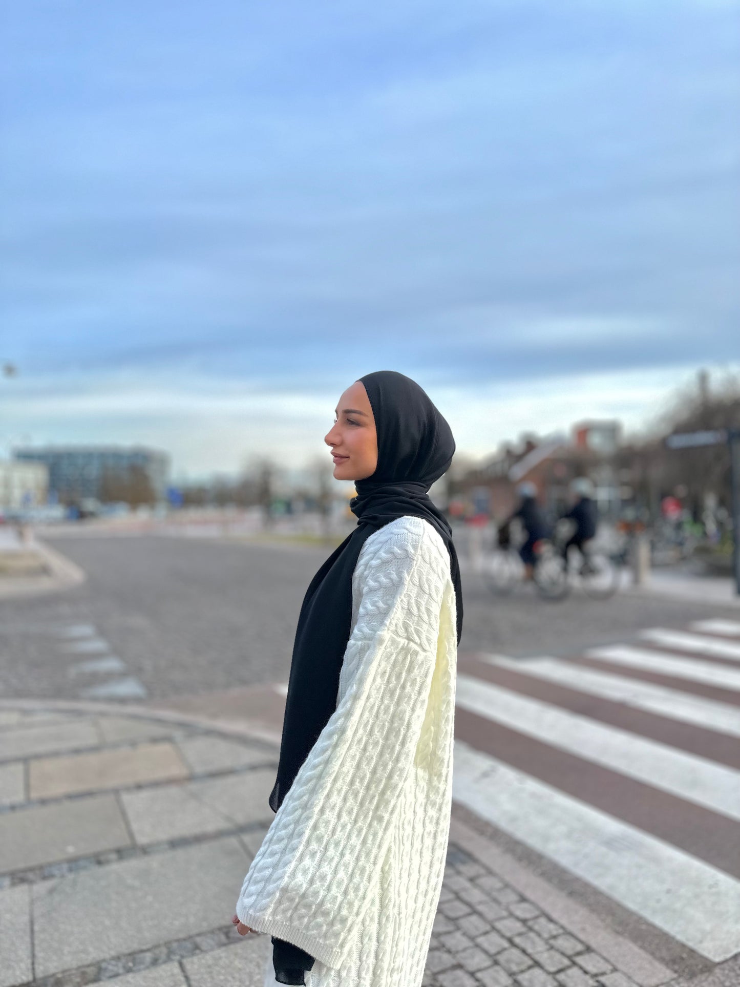 Premium chiffon silk - Black SD01