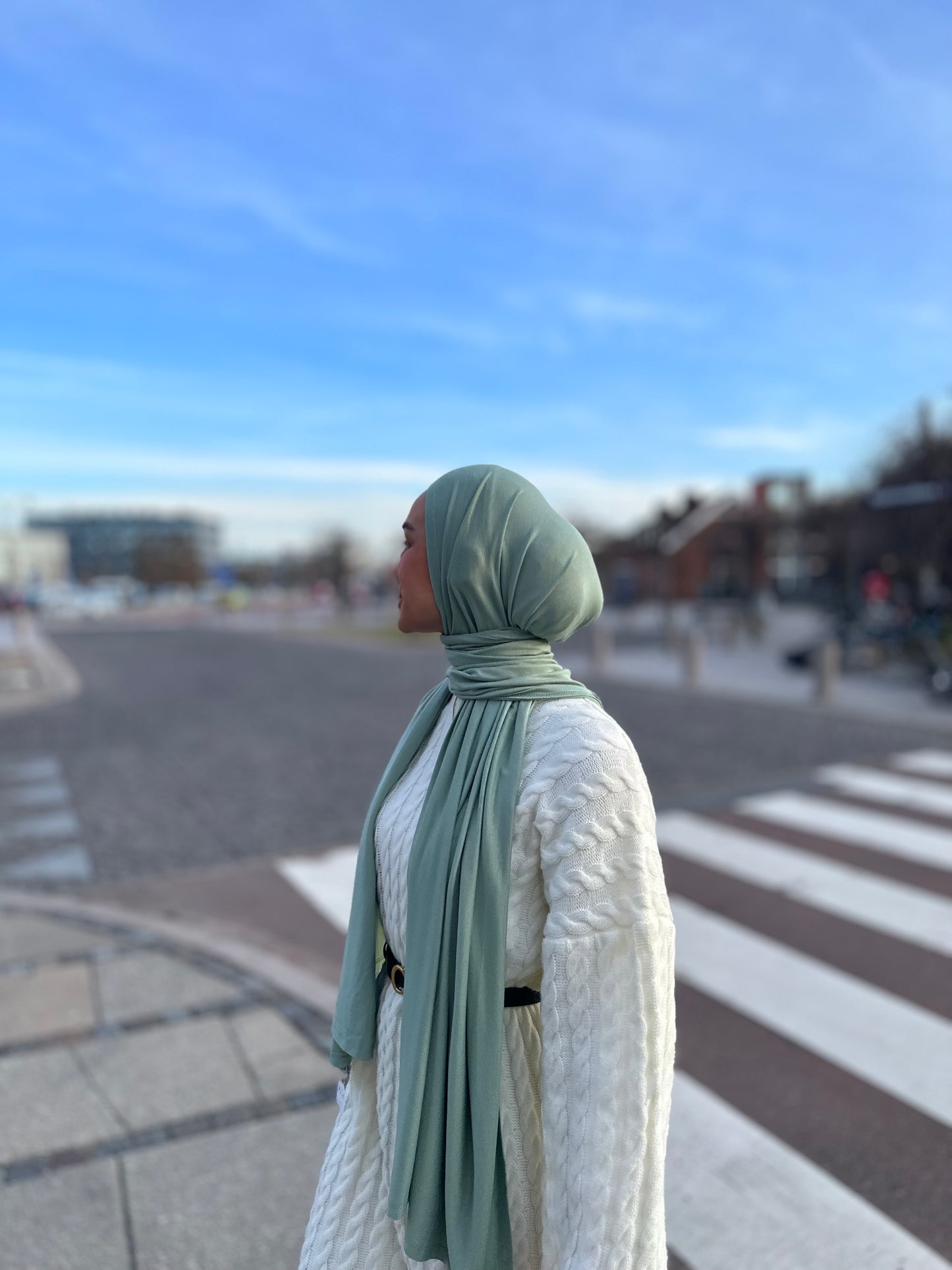 Premium Viscose Jersey - Mint pl12