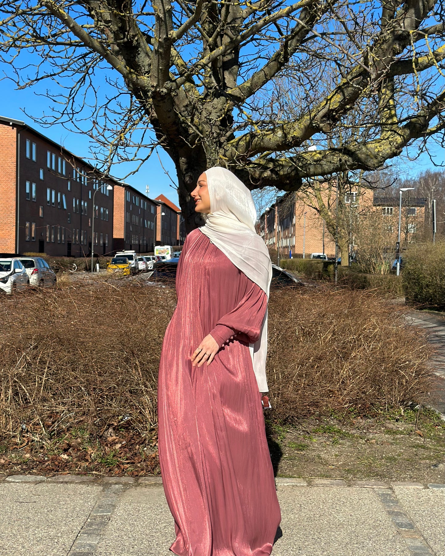 Gleaming Flowy dress - Old rose