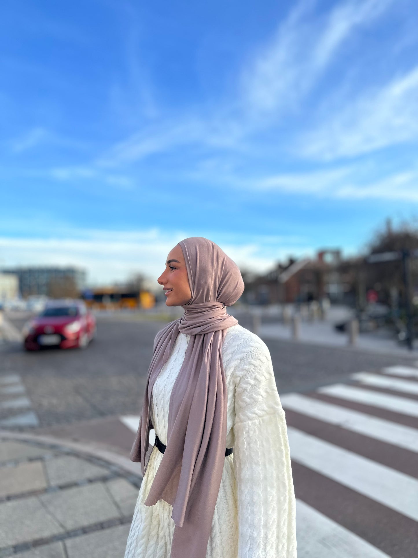 Premium Viscose Jersey - pl06