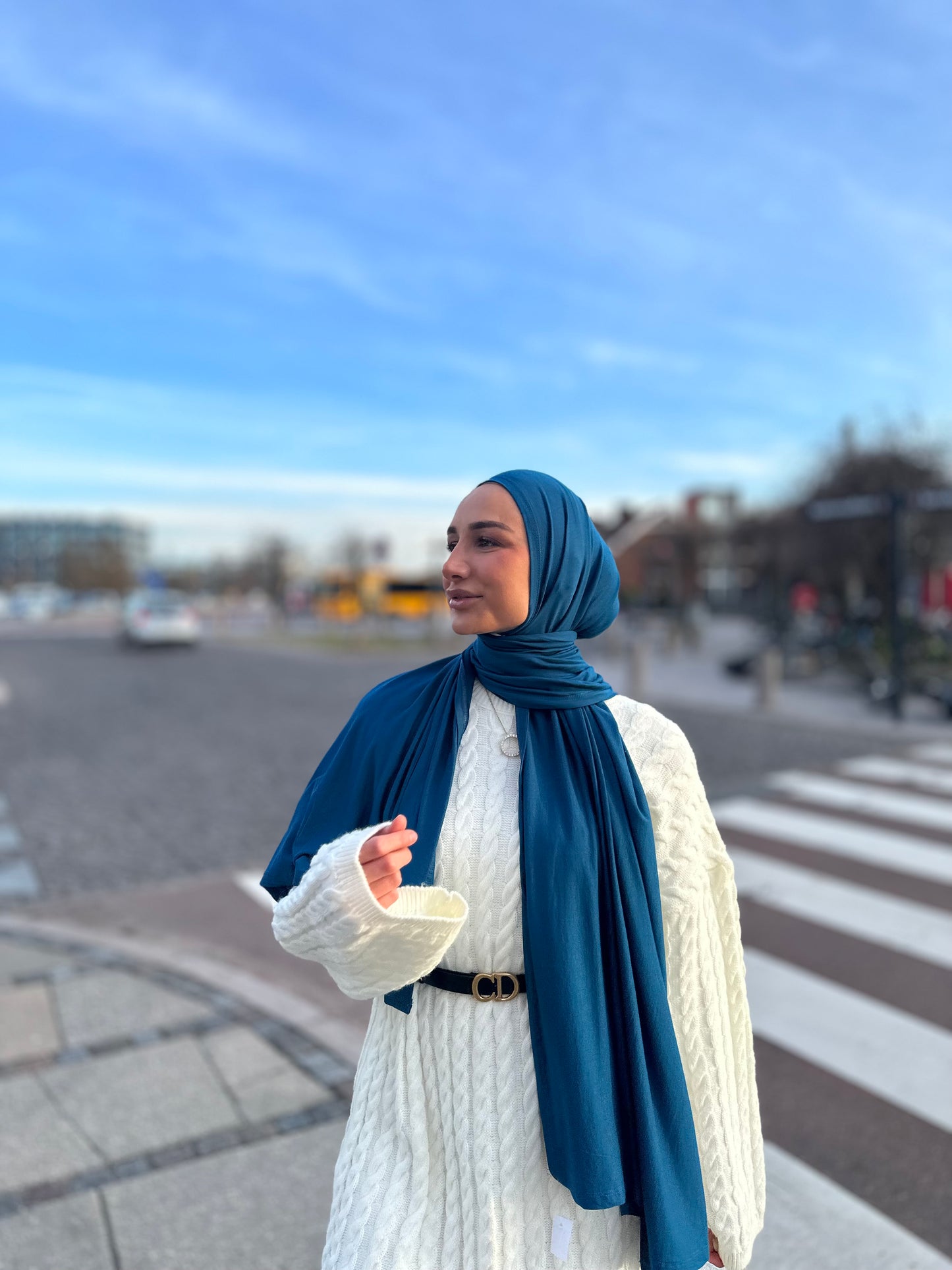 Premium Viskon Jersey - Blue Jay pl05