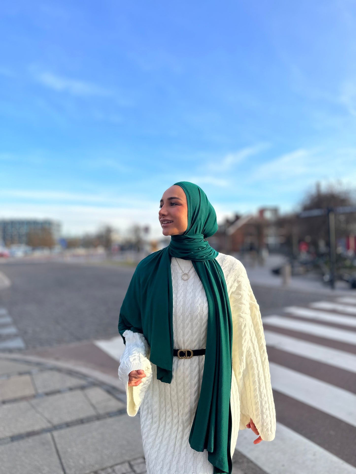 Premium Viscose Jersey - Pine Green Pl15