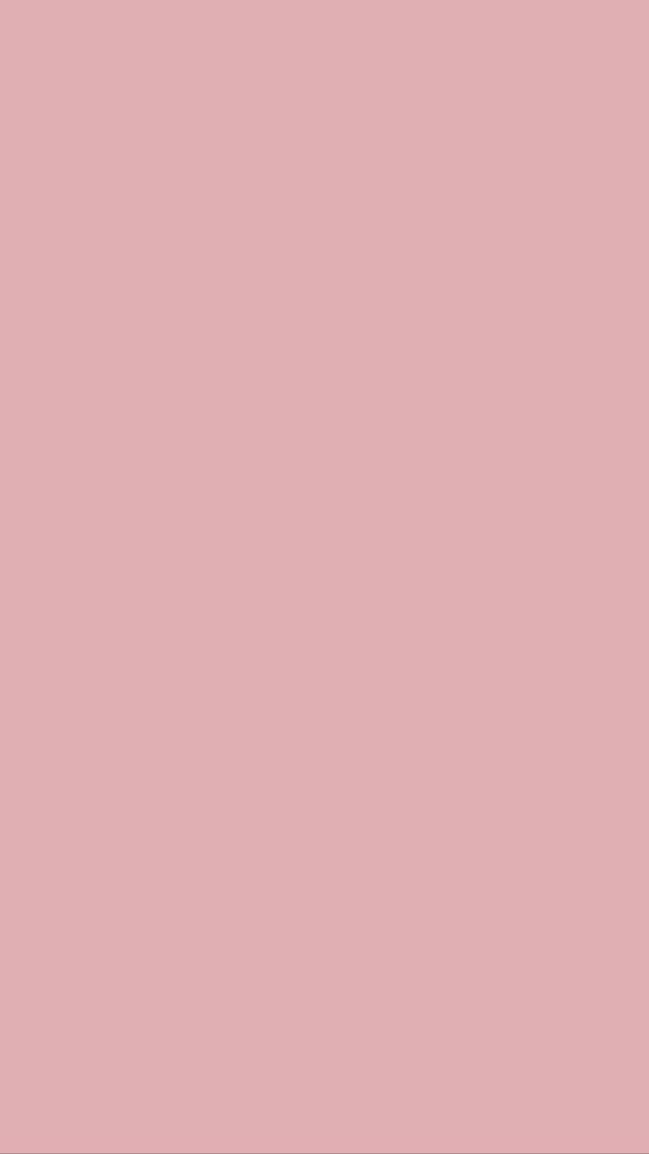 Premium Liquid Jersey - Sakura Blossom ph07
