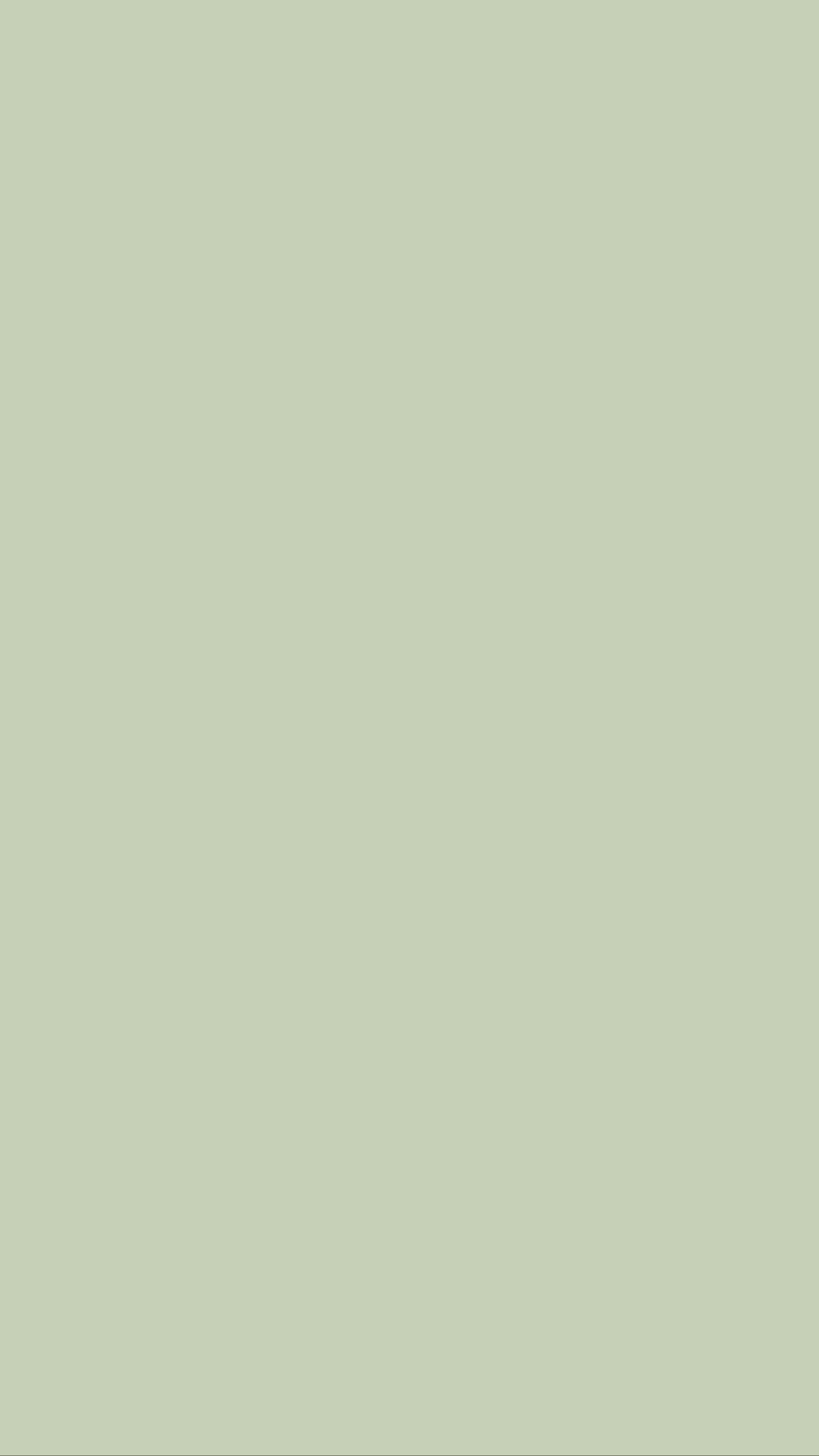 Premium Liquid Jersey - Matcha Delight ph26