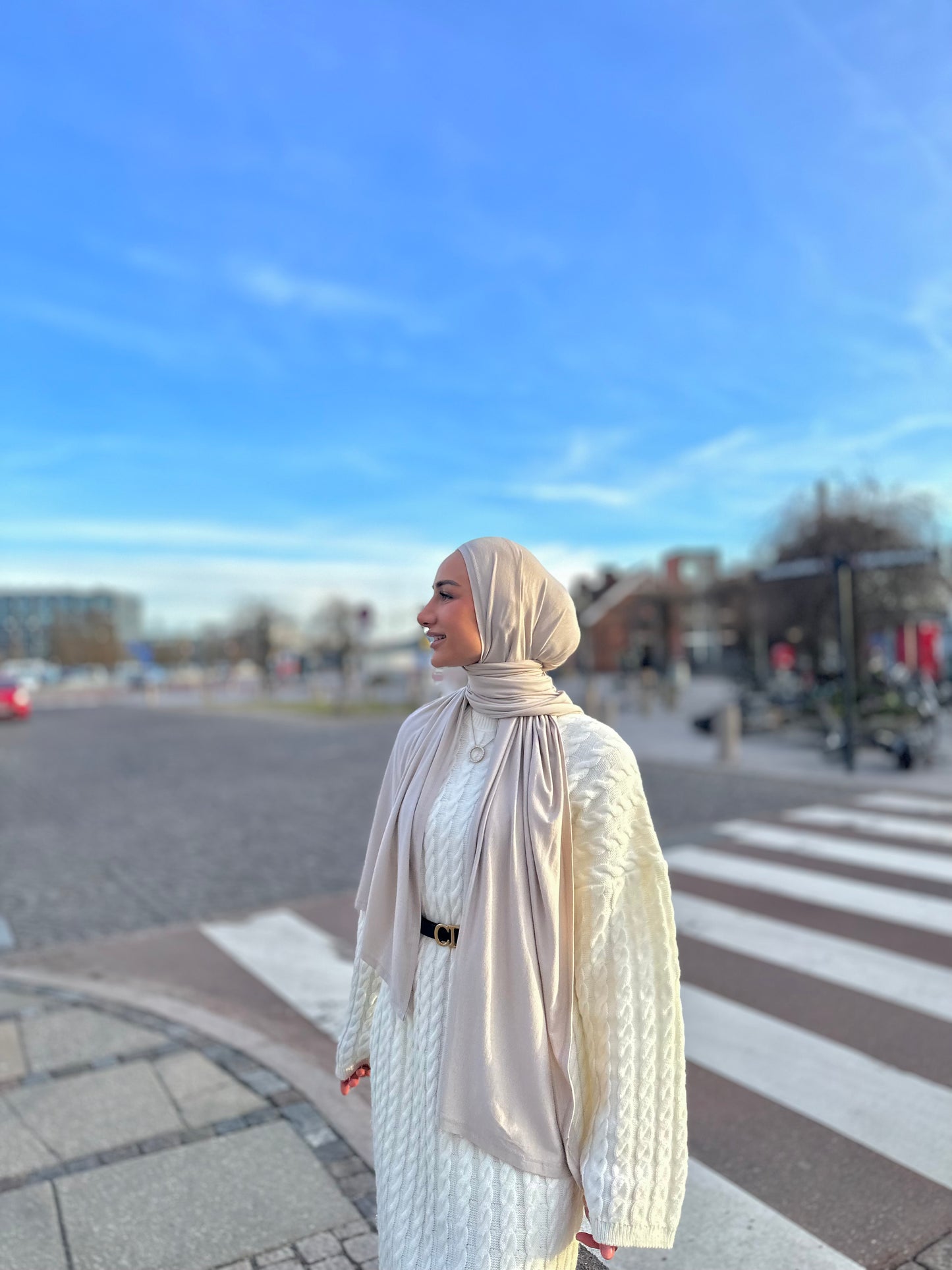 Premium Viscose Jersey - Ivory Pl03