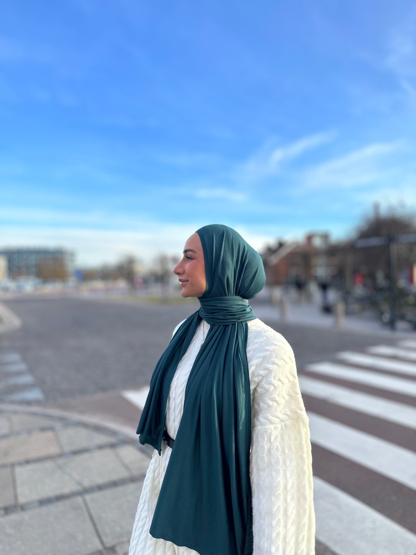 Premium Viscose Jersey - Green Pl14