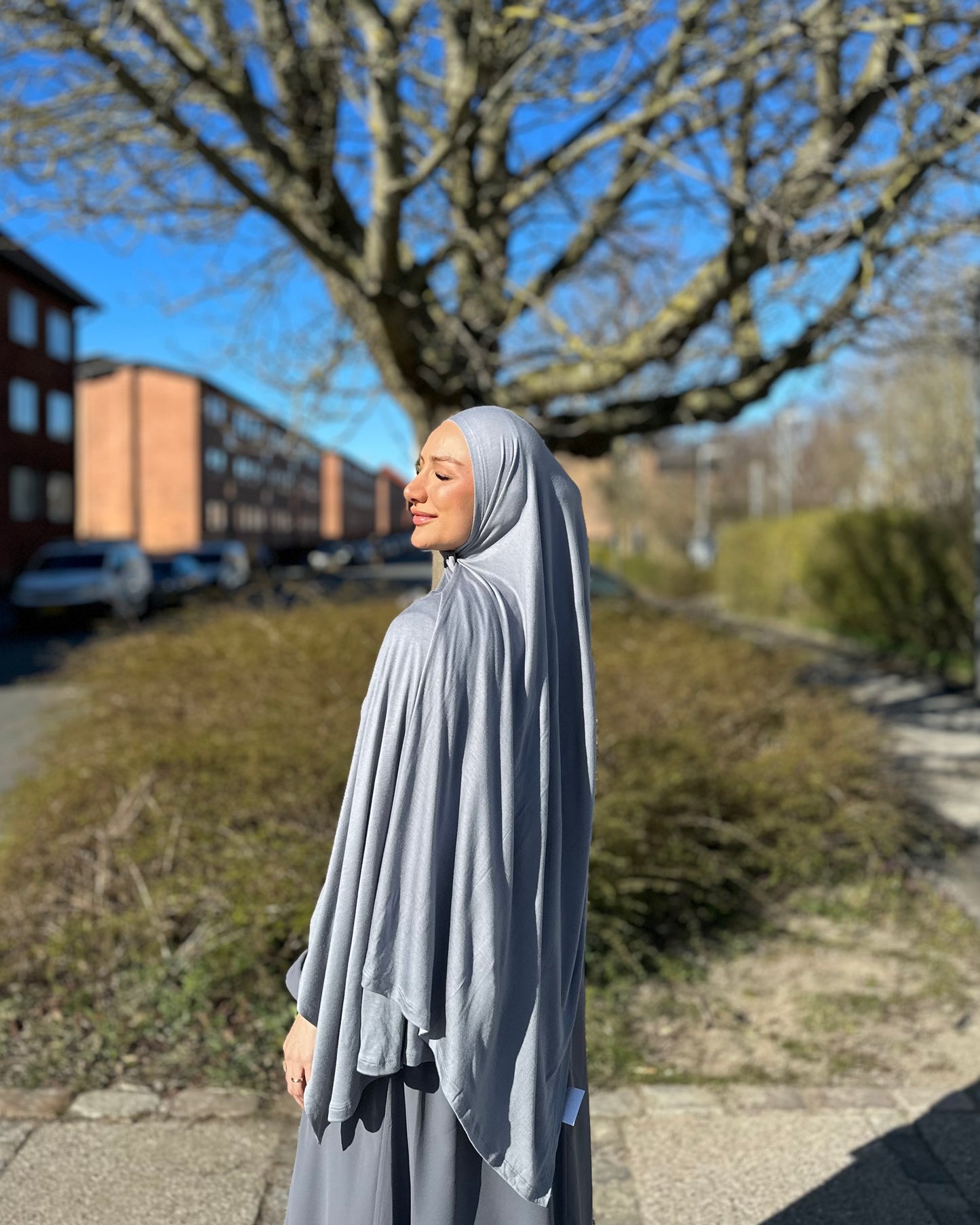 Premium Viscose Jersey - silver pl31