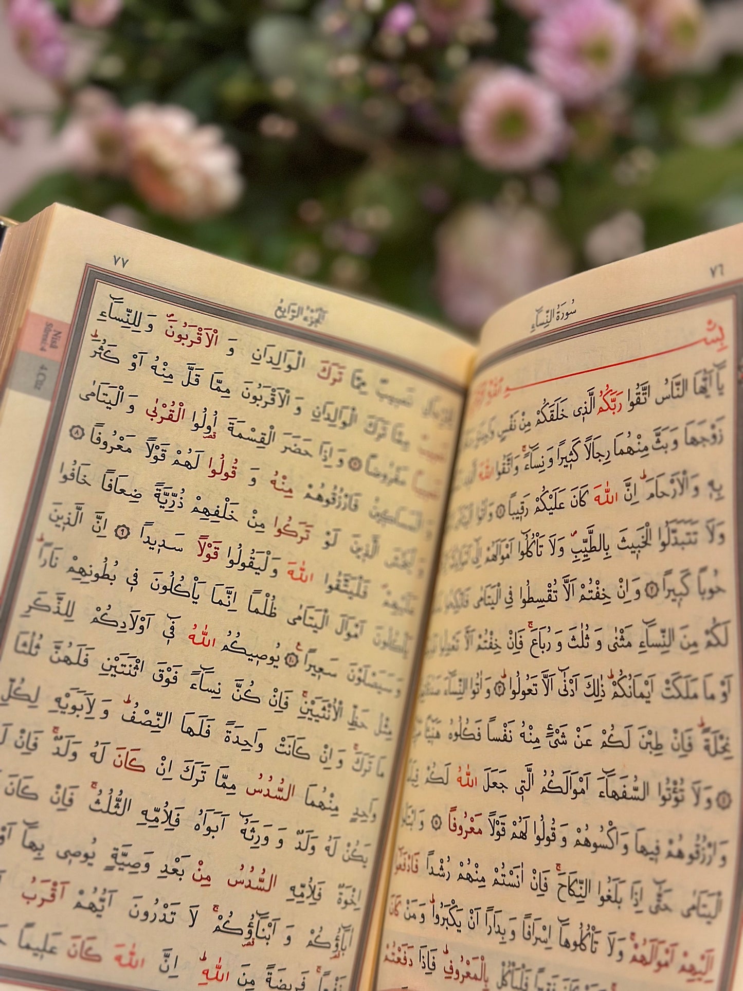 Toz pembe hediye kutusu