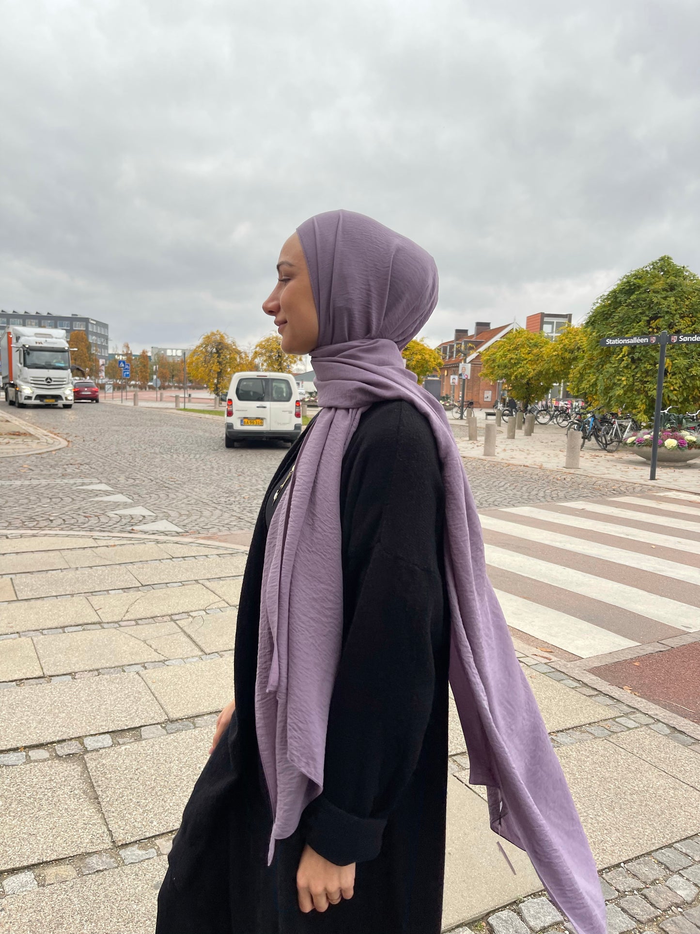 Caz Chiffon - Dusty Purple 31