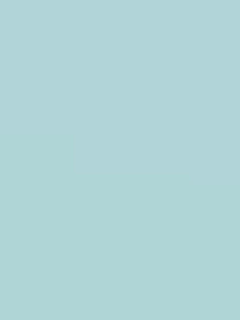 Premium Liquid Jersey - Cool Mint ph22