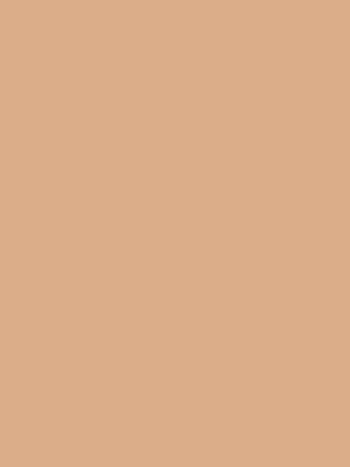 Premium Liquid Jersey - Biscotti Beige ph15