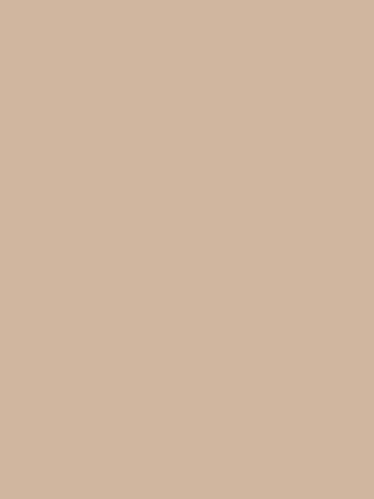 Premium Liquid Jersey - Nude Nougat ph09