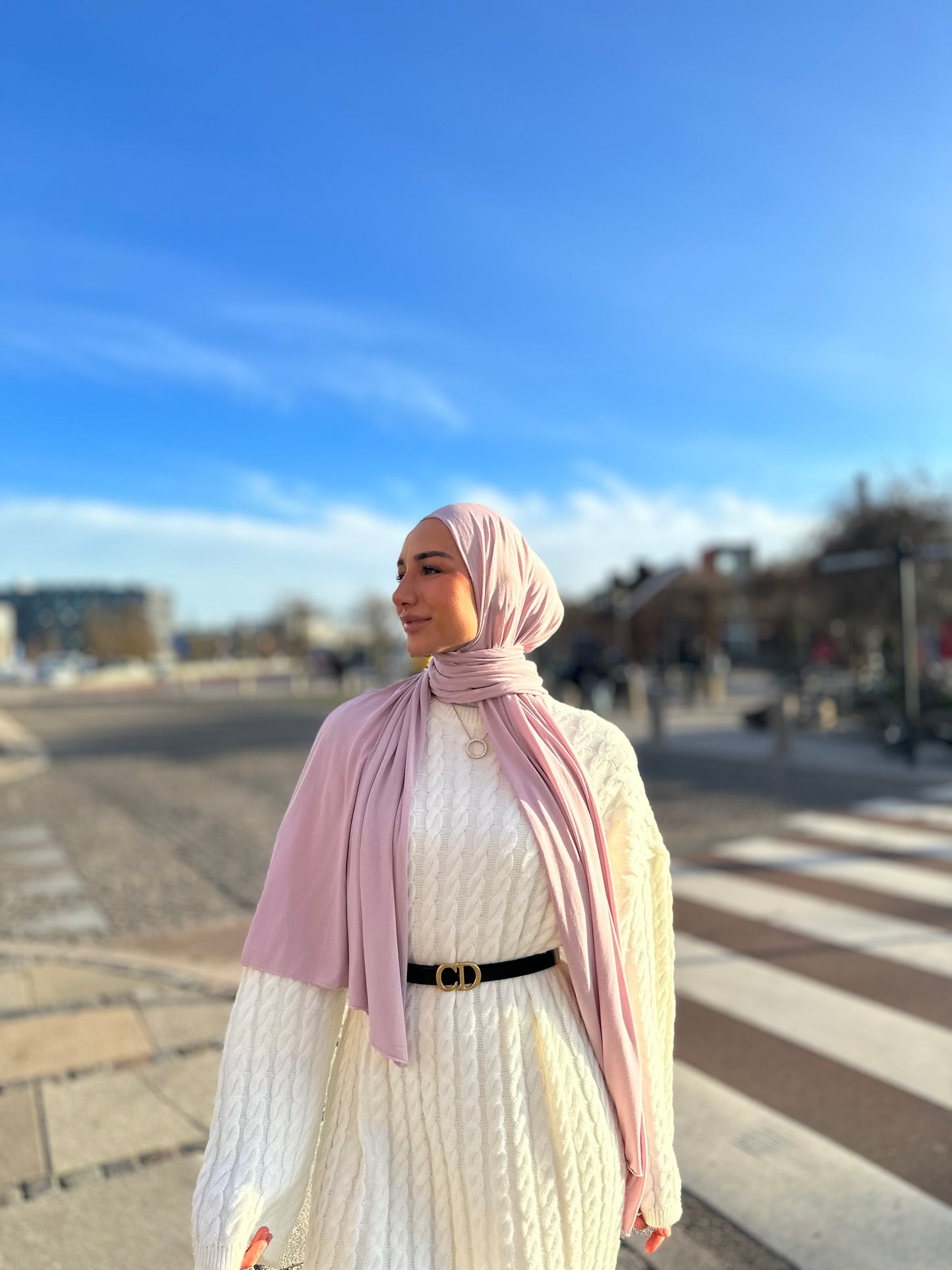 Plain Jersey hijab - b169