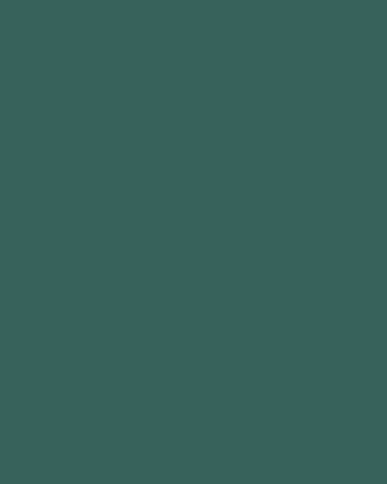 Liquid Hijab - forest green- Lh30