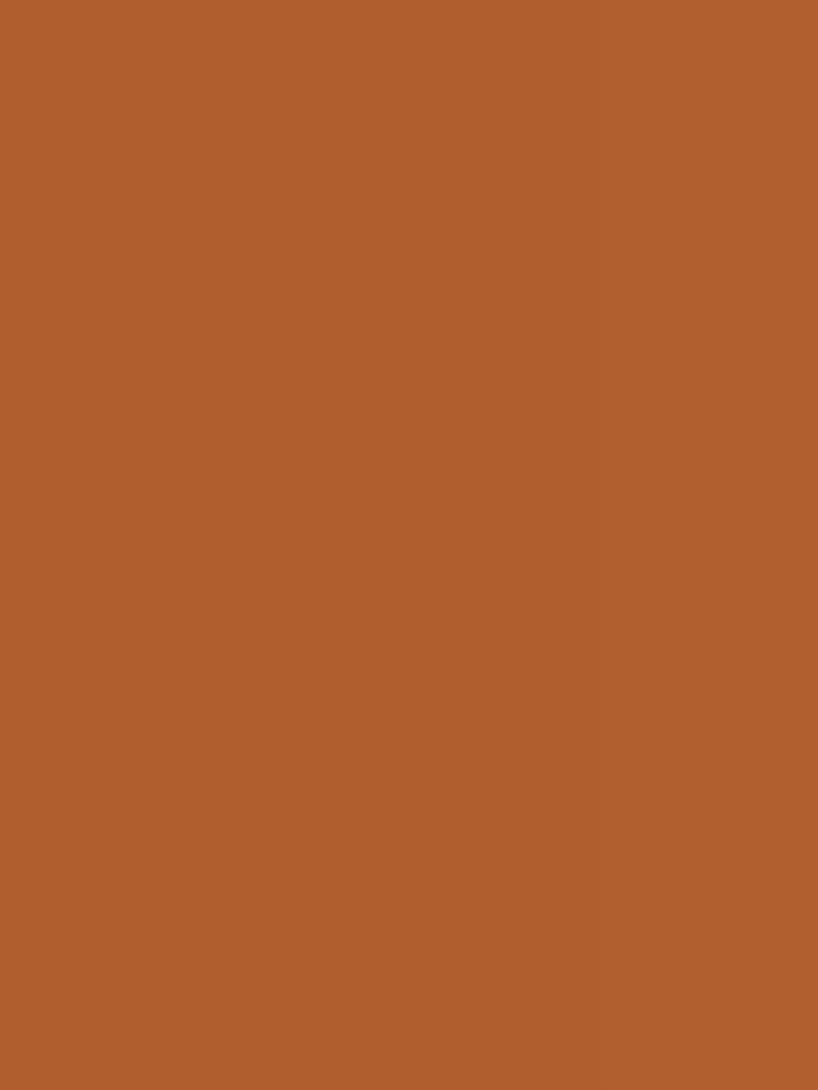 Premium Liquid Jersey - Terracotta ph21