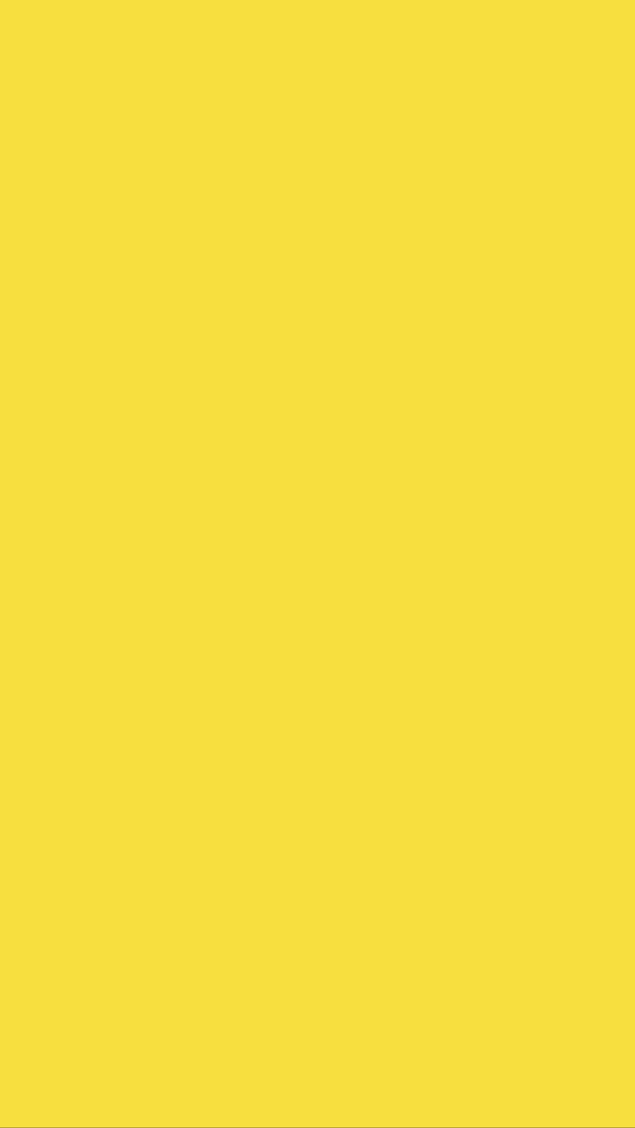 Premium Liquid Jersey - Sunflower Yellow ph02