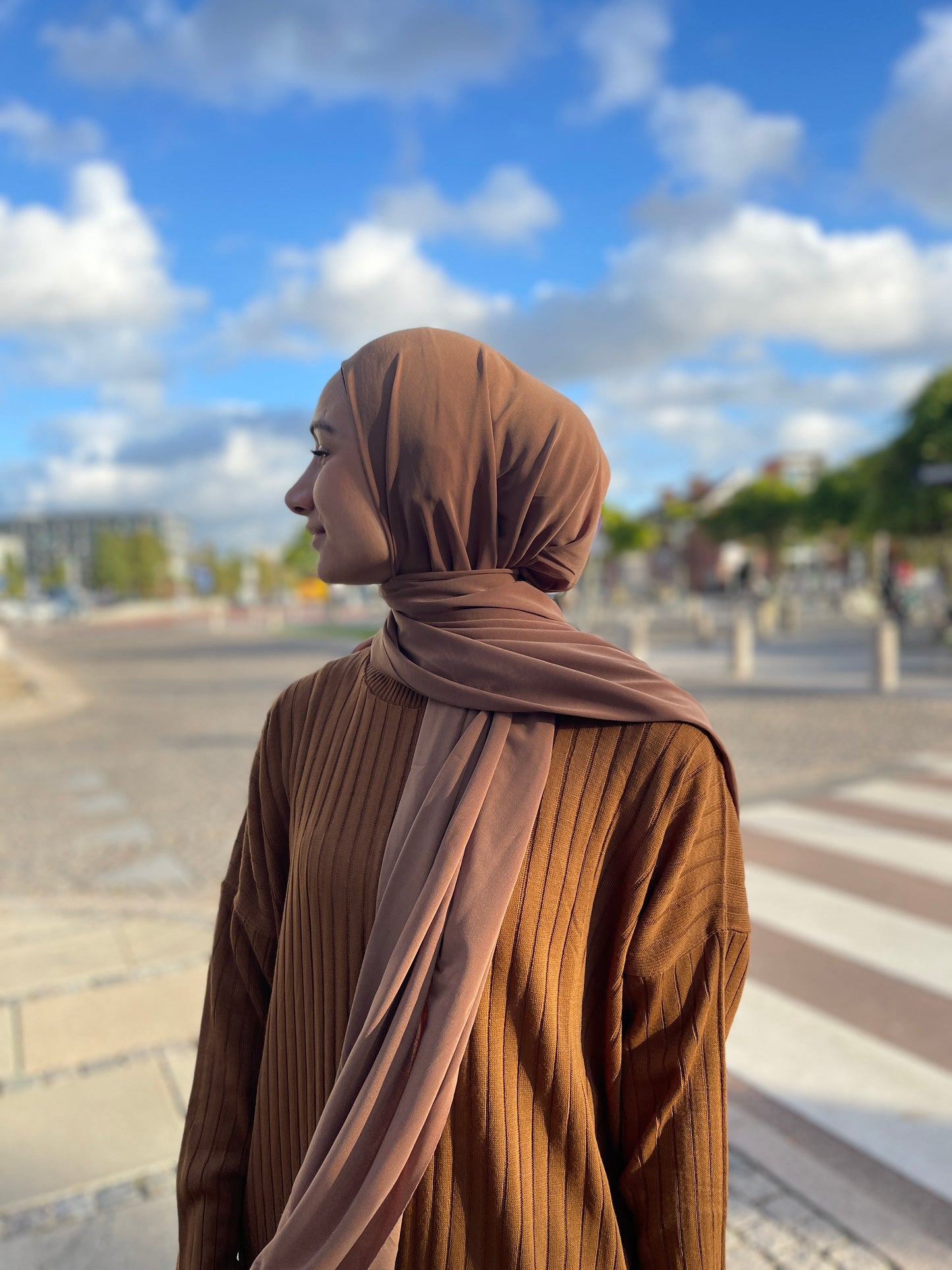 Lycra Hijab - Brown ly18