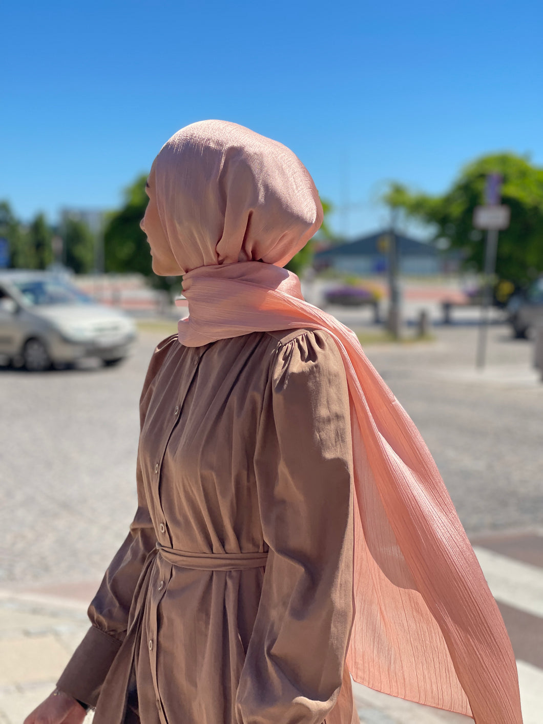 Shiny Silk Hijab - ss57