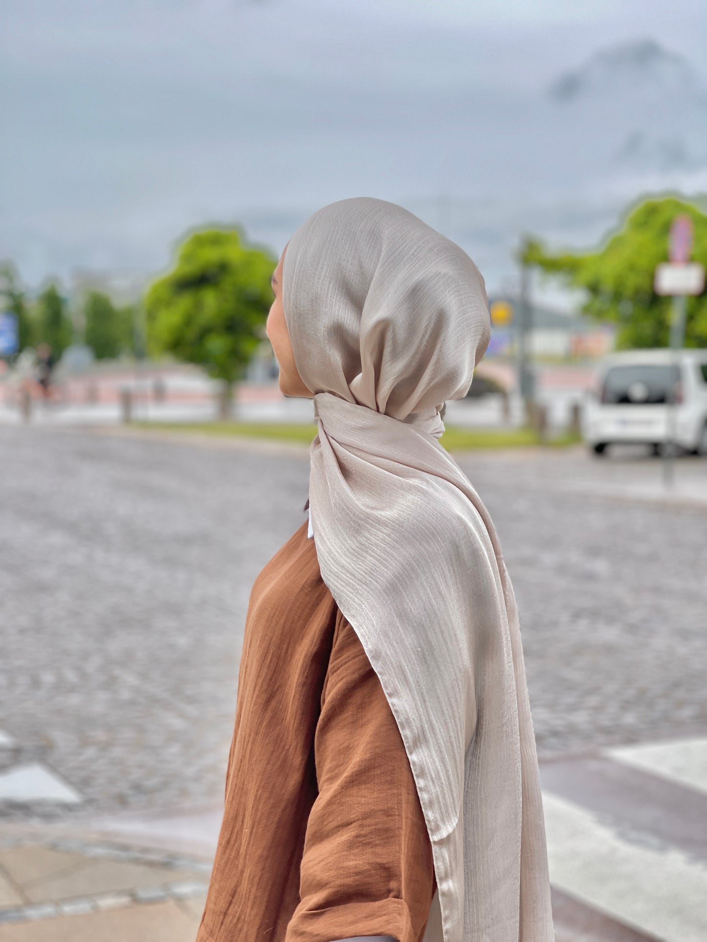 Shiny Silk Hijab - ss77