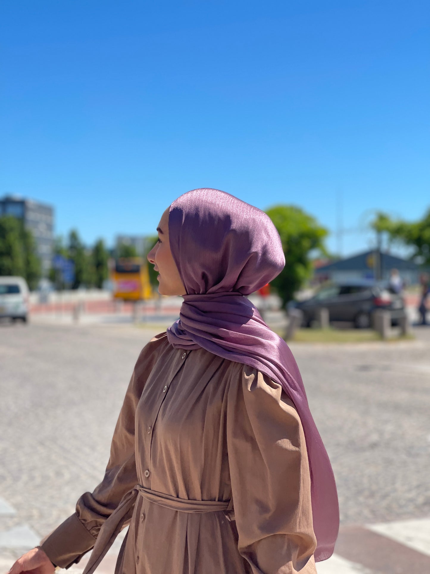 Shiny Silk Hijab - ss59