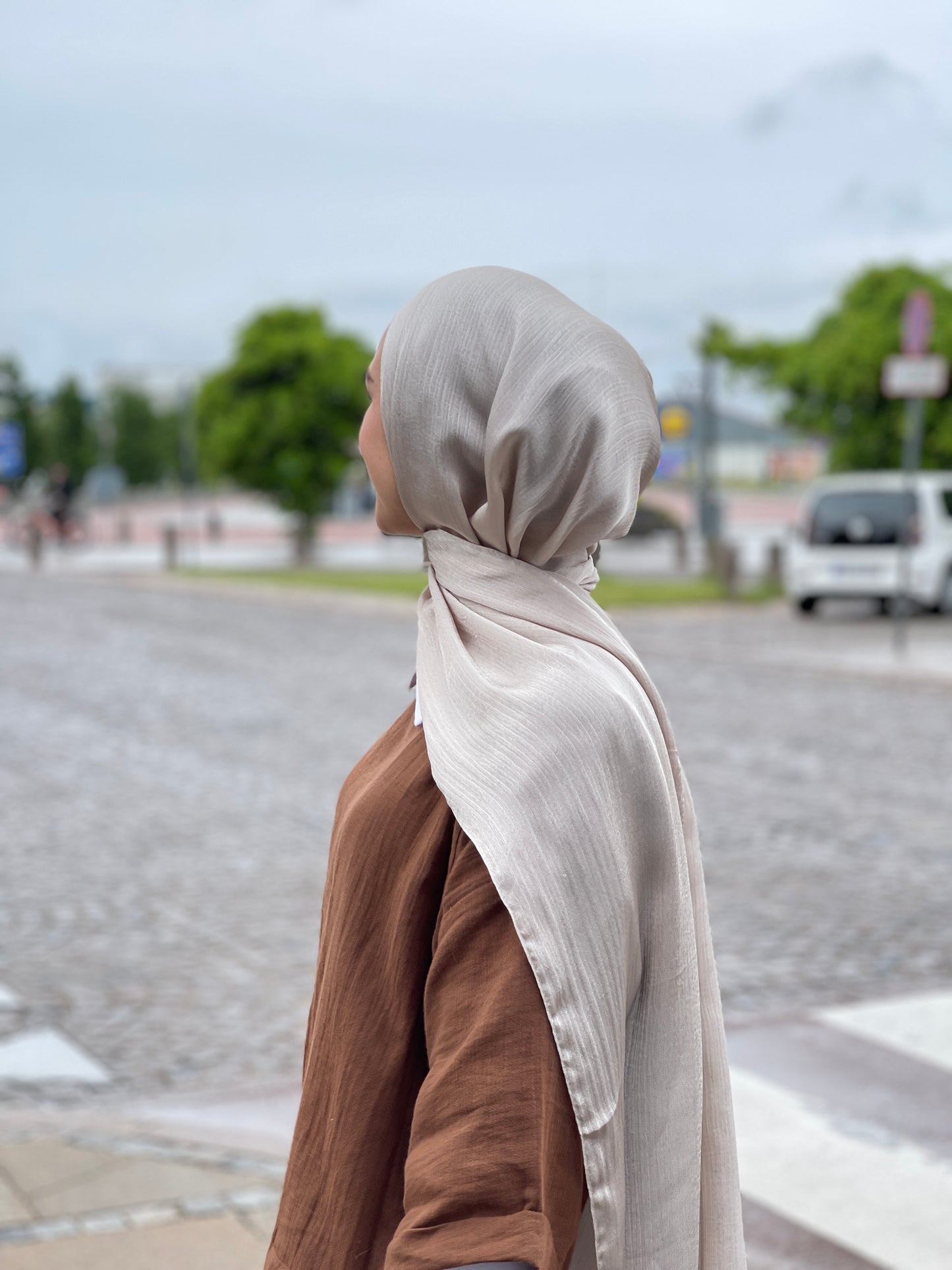 Shiny Silk Hijab - ss77